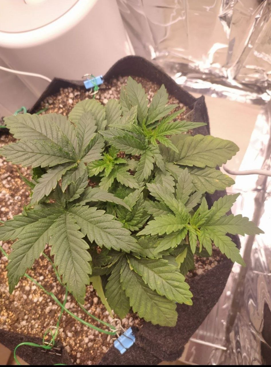 21 — копия.jpg