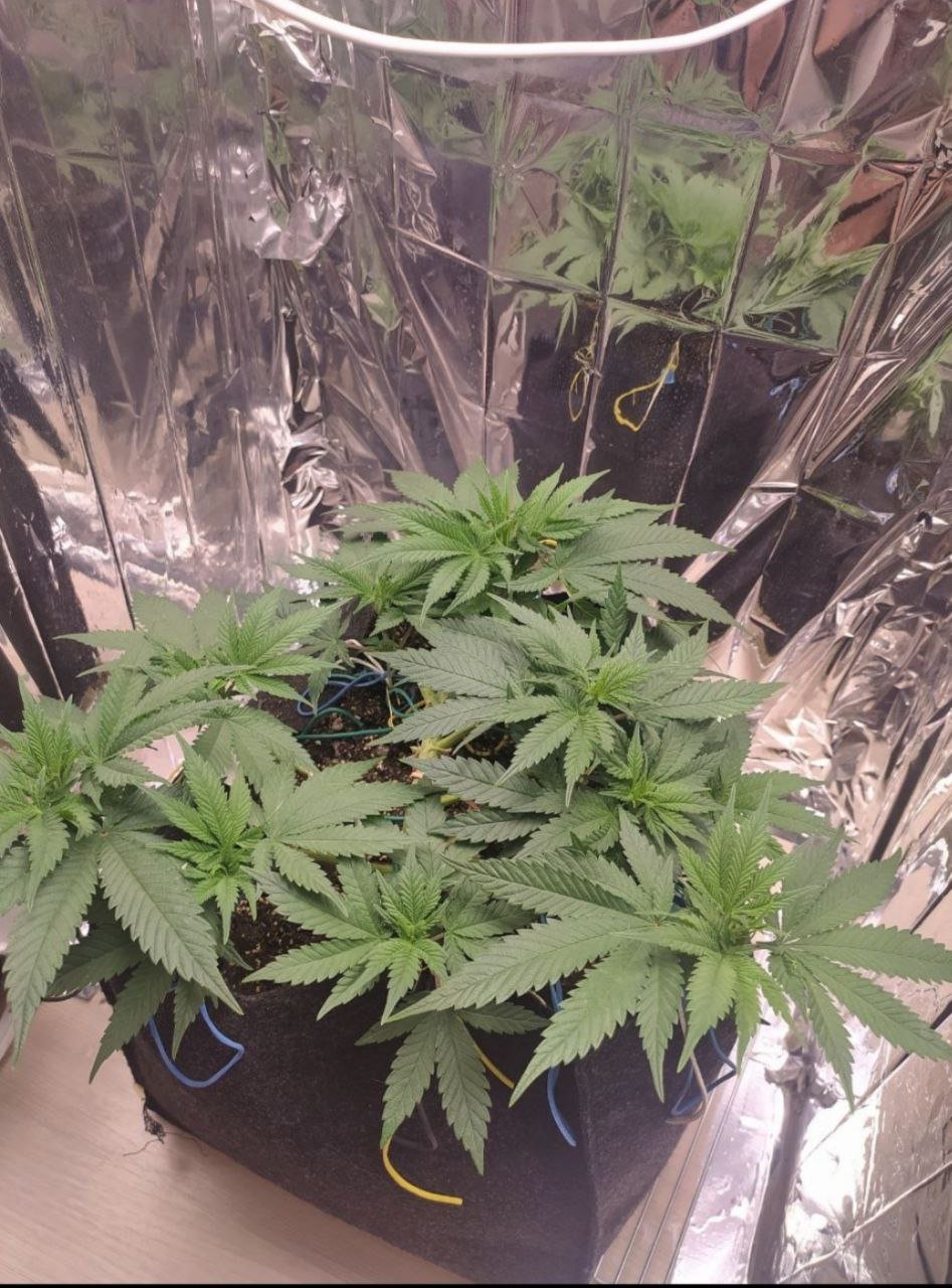 43 — копия.jpg