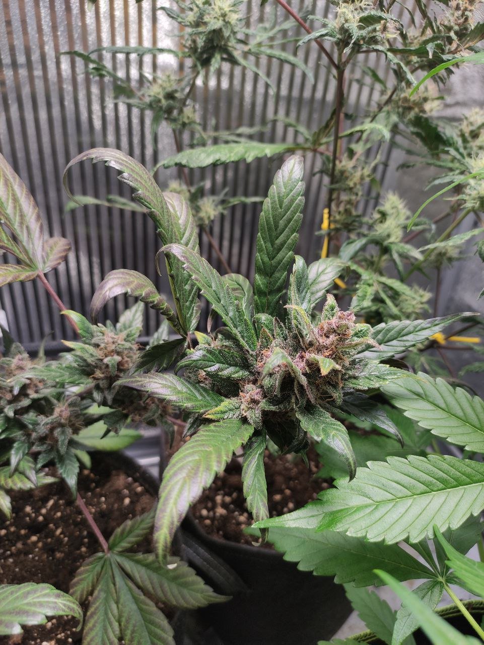 photo_2022-11-28_14-06-00 (2).jpg