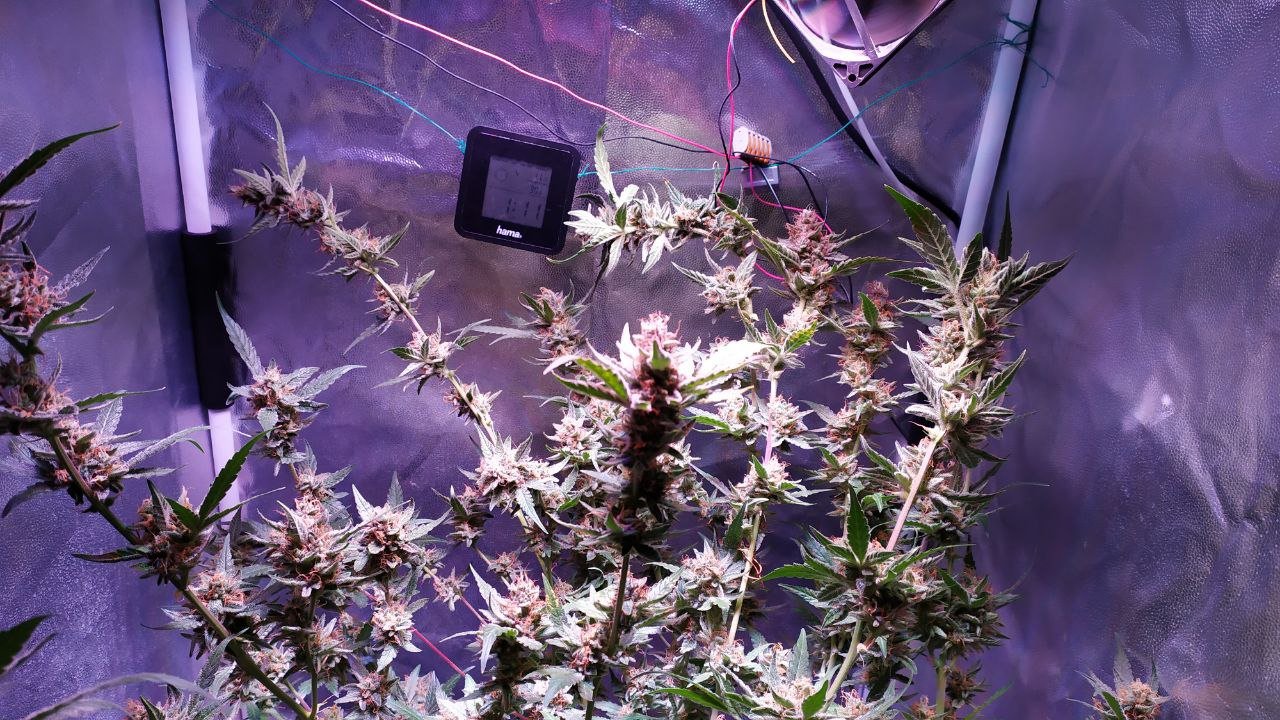 photo_2022-11-30_19-12-33 (4).jpg