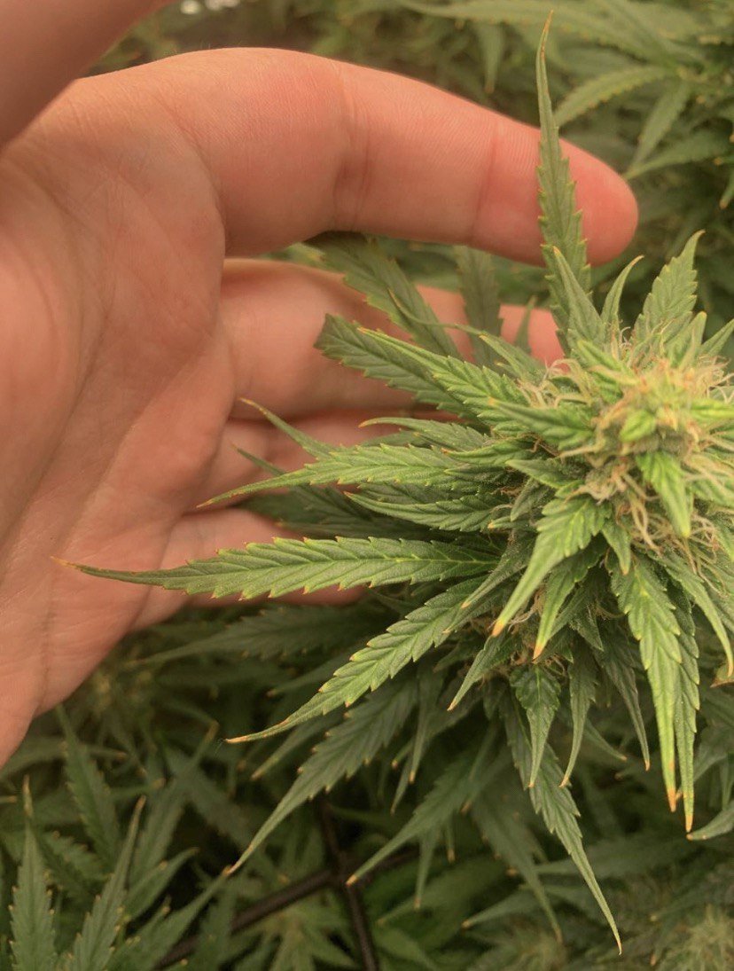 photo_2022-12-01_17-56-12 (2).jpg