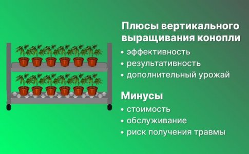 Вертикальный гров