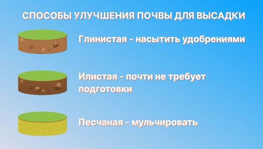 Благоприятная почва для выращивания конопли в аутдоре