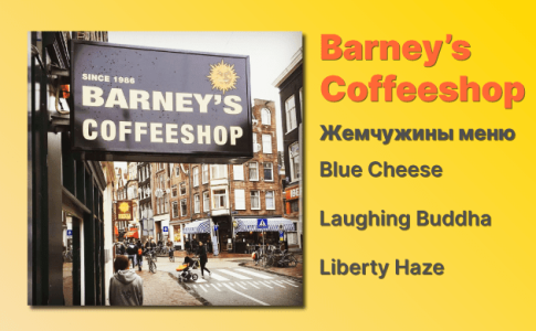 Кофешоп Амстердам Barney's Coffeeshop