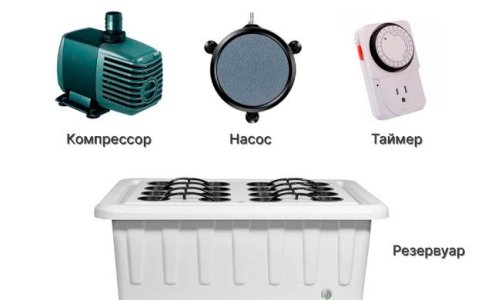 Оборудование для гидропоники – выращивание автоцветов