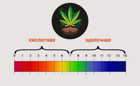pH для конопли
