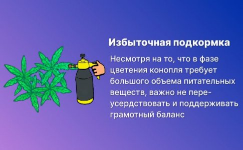 Переизбыток питательных веществ и уровня кислотности