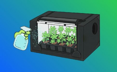 Субстрат для рассады конопли