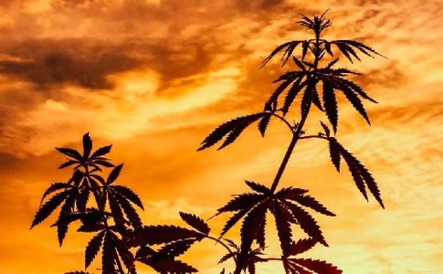 Правильное время посещения