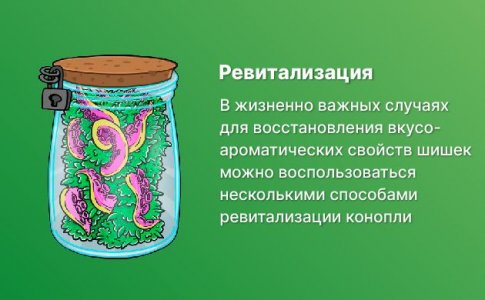 Ревитализация конопли