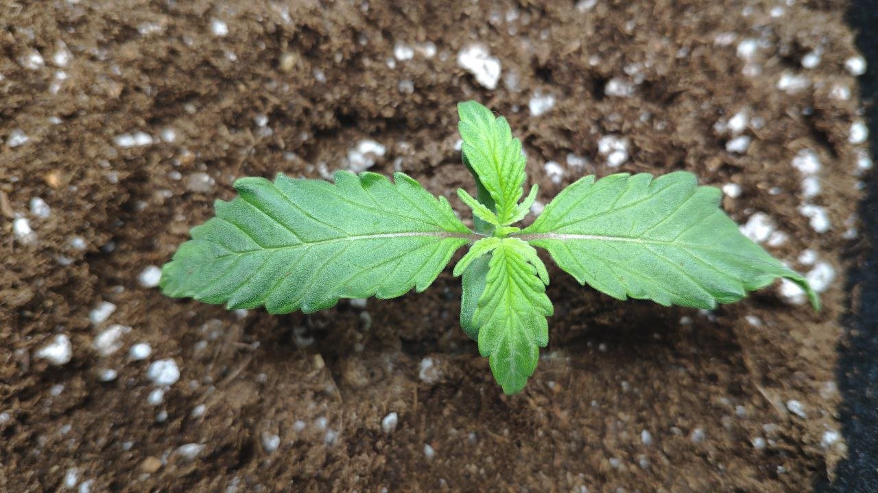 8 photo_2023-02-17_15-51-14.jpg