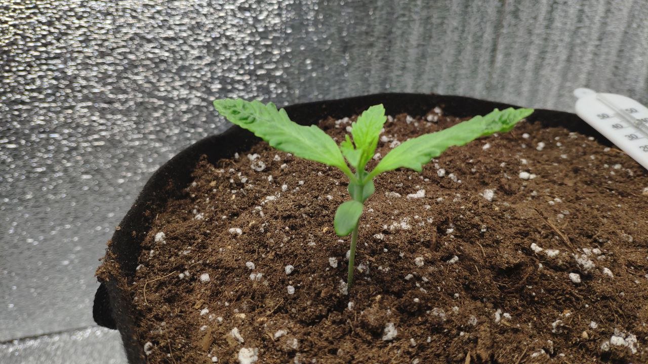 9 photo_2023-02-17_16-06-19.jpg