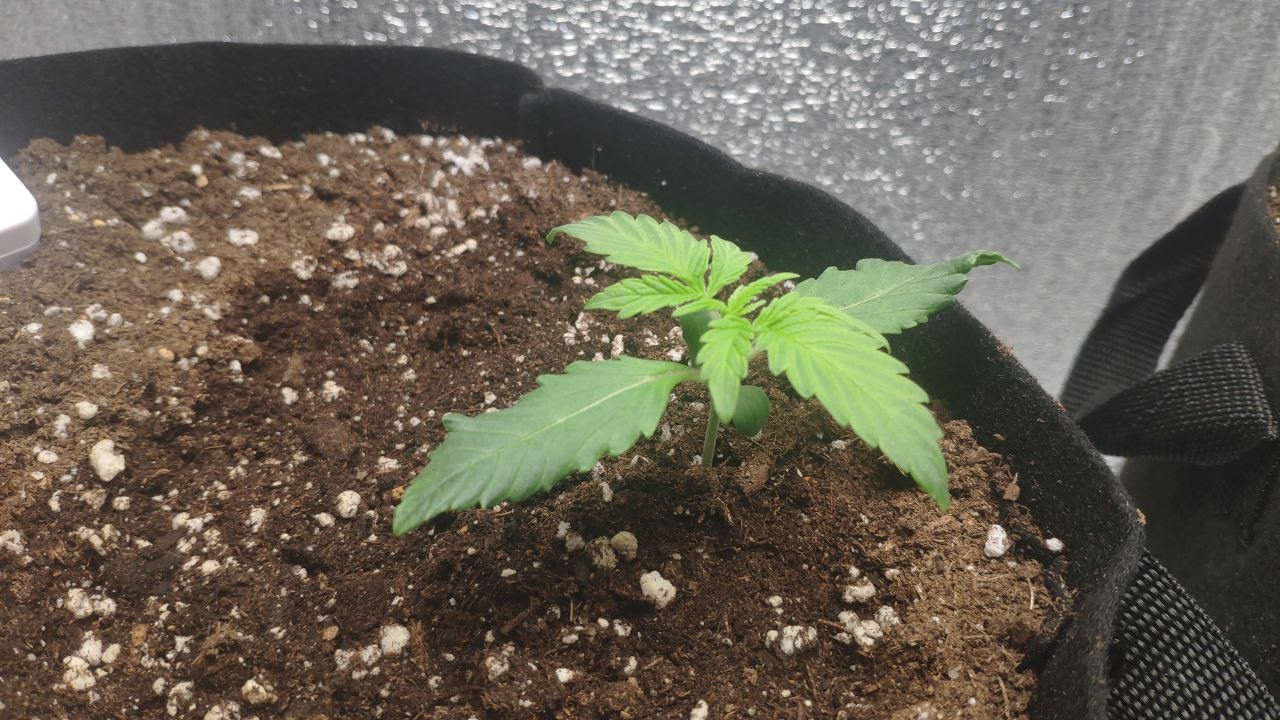 11 photo_2023-02-17_16-07-23.jpg