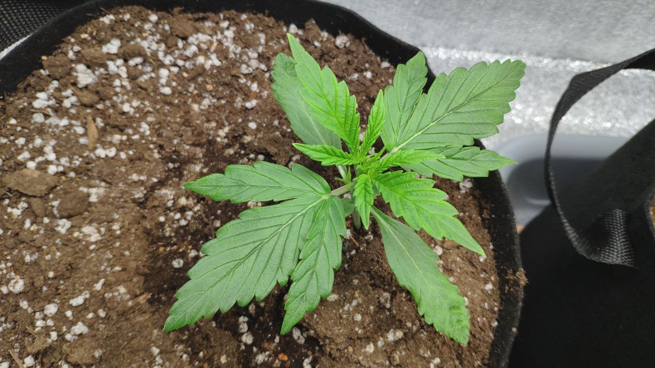 14 photo_2023-02-17_16-08-09.jpg