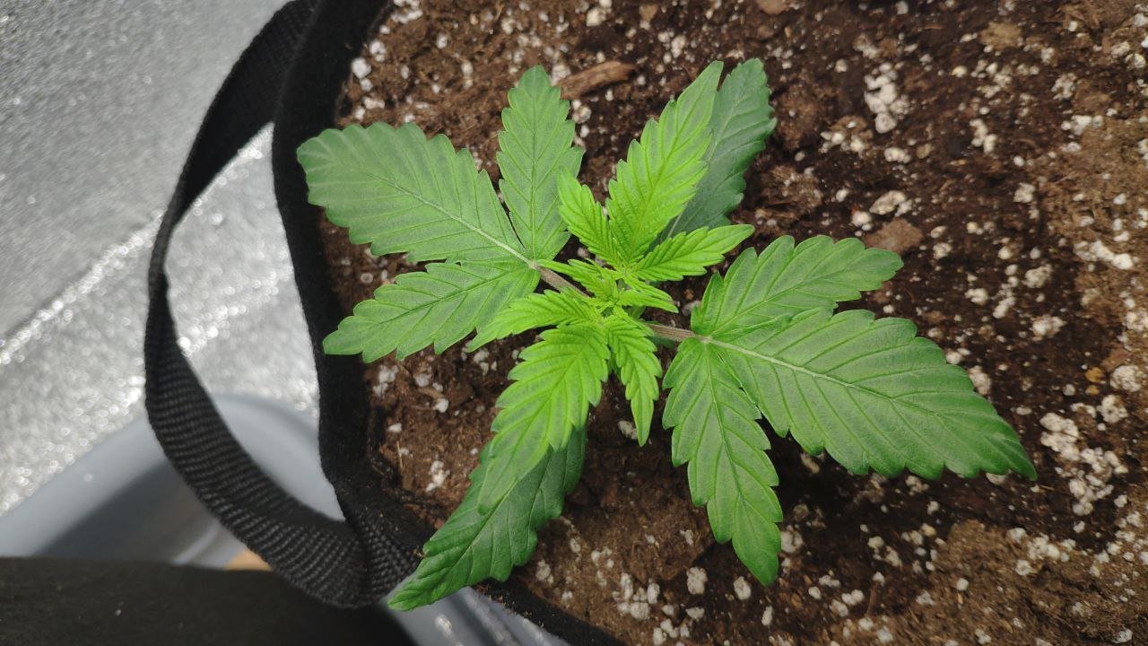 14 photo_2023-02-17_16-08-23.jpg