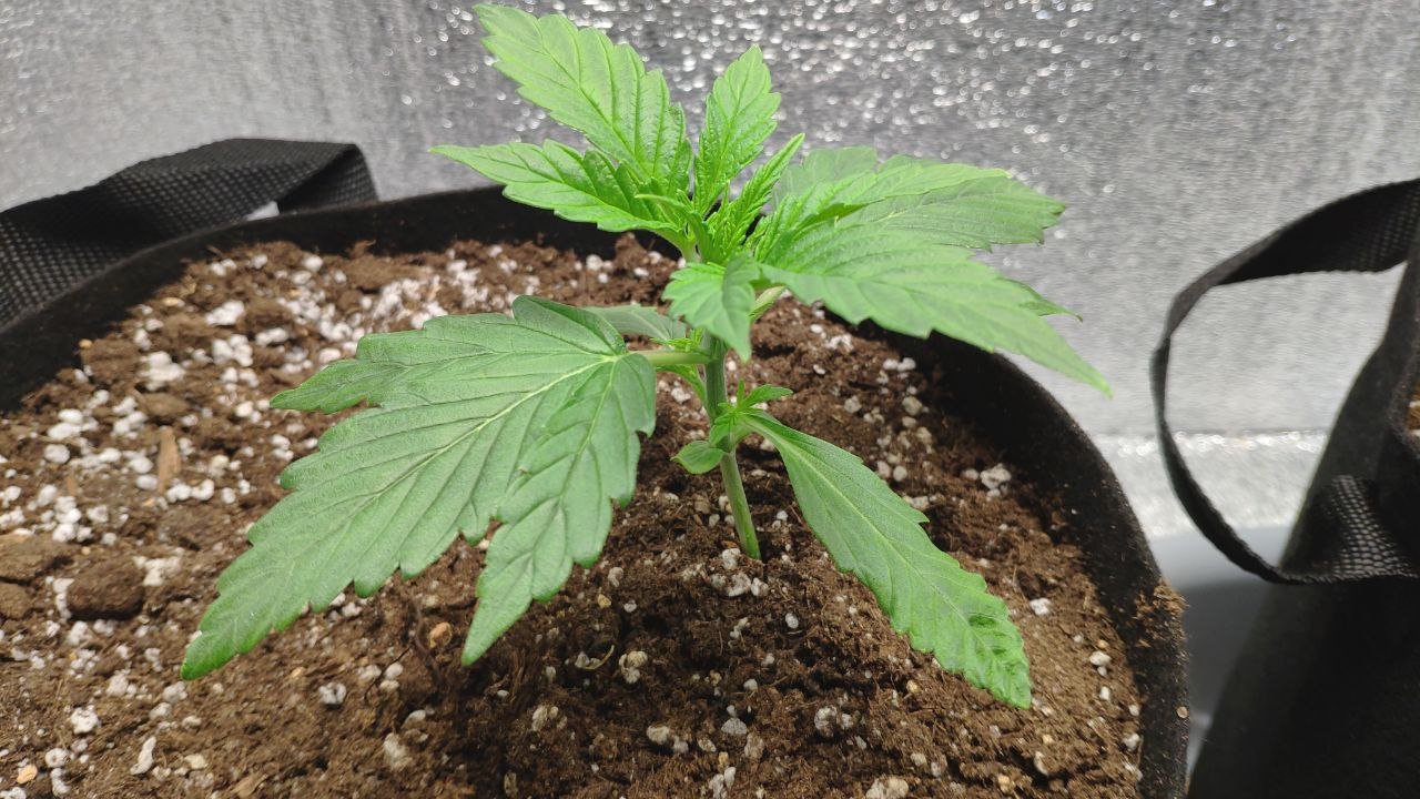 15 photo_2023-02-17_16-30-09.jpg