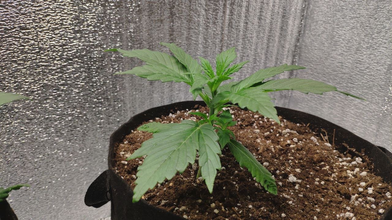 17 photo_2023-02-17_16-31-16.jpg