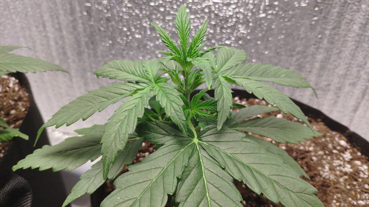 20 photo_2023-02-17_16-33-37.jpg