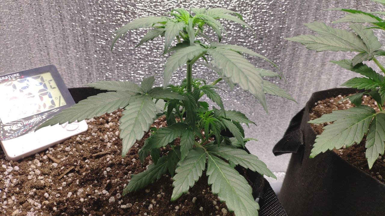 21 photo_2023-02-17_16-41-21.jpg