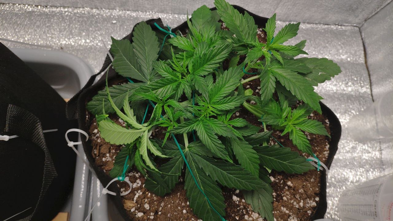 23 photo_2023-02-17_16-54-56.jpg