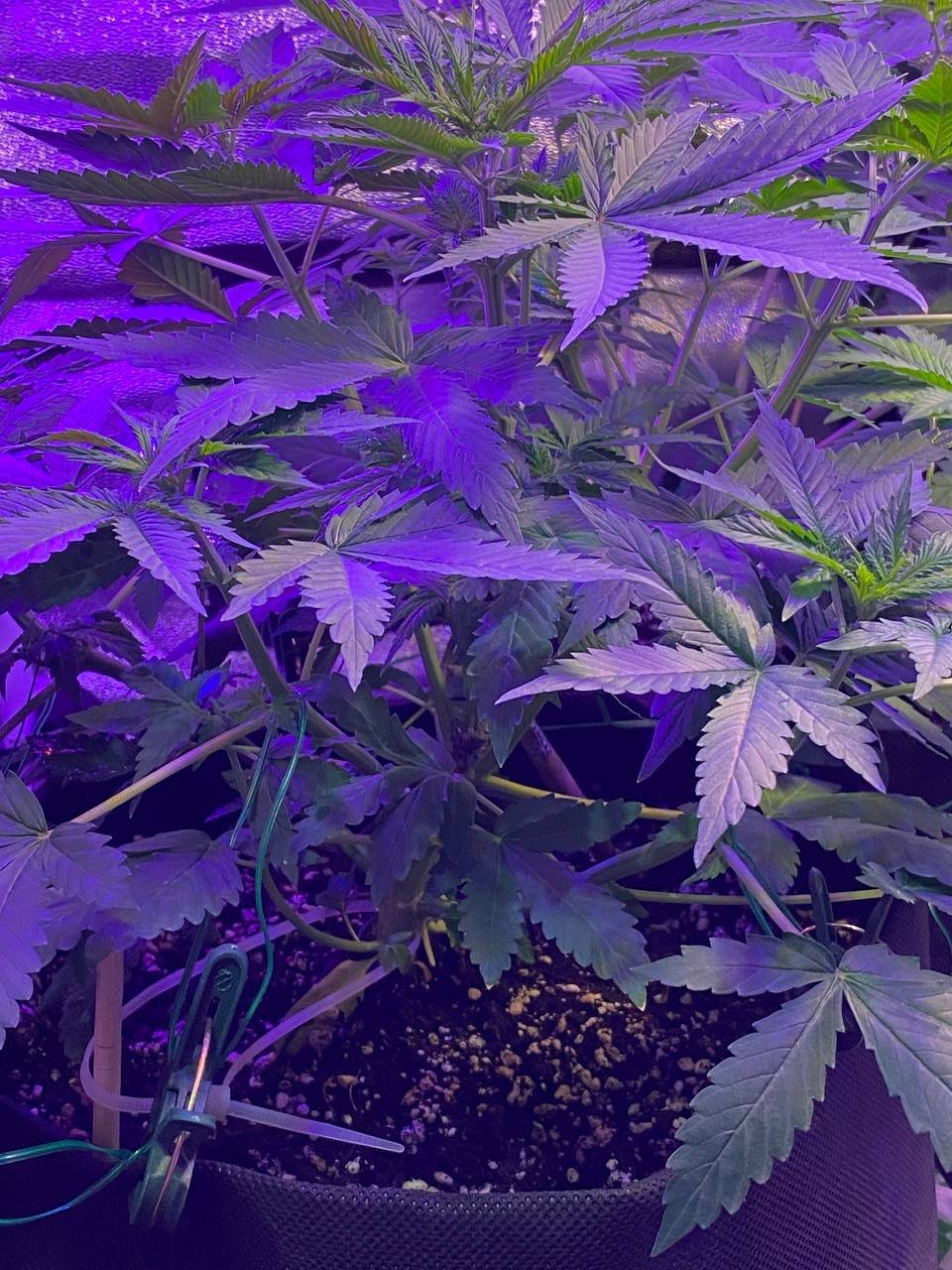 photo1676739698 (5).jpeg