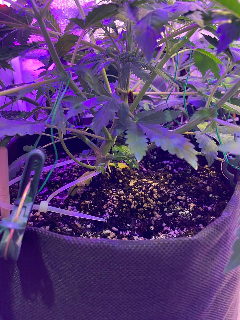 photo1676739698 (1).jpeg