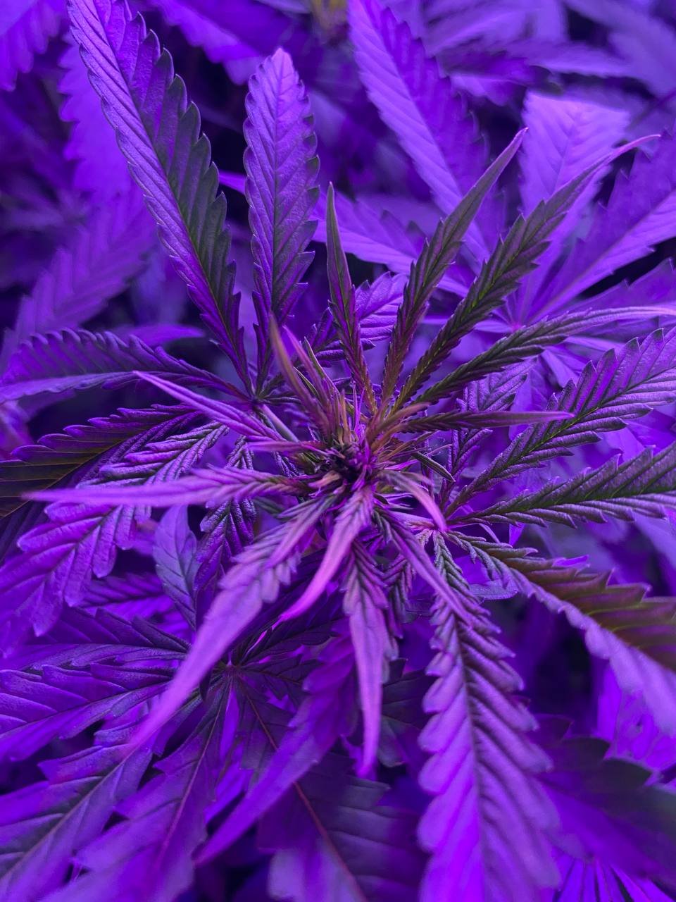 photo1677430783 (1).jpeg