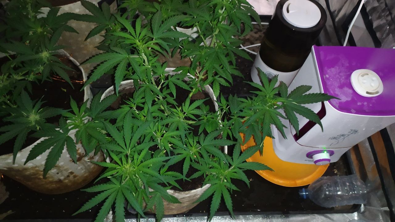 photo_2023-03-05_13-25-00 (2).jpg