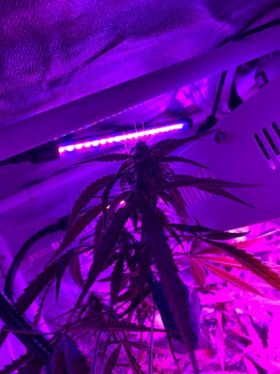 photo1678543655 (3).jpeg