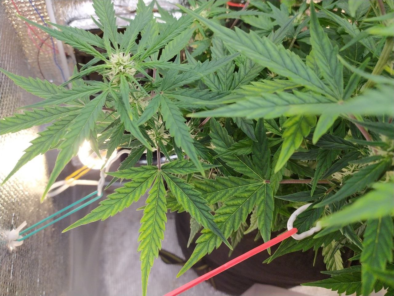 photo_2023-03-19_13-03-03 (2).jpg