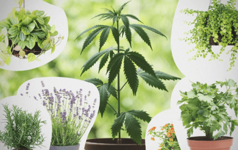 1679992841732.png 1679992841732.png