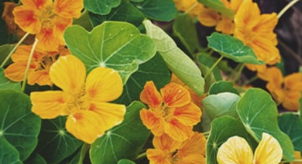 1679992997416.png 1679992997416.png