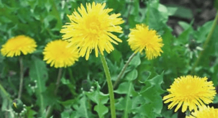 1679993101531.png 1679993101531.png