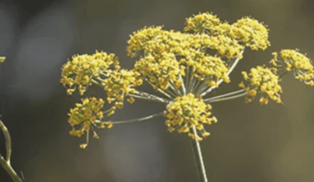 1679993212645.png 1679993212645.png