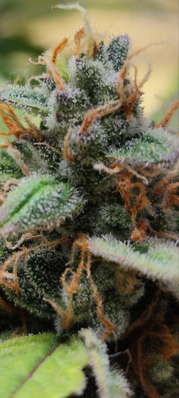 photo_2023-04-24_20-07-00 (2).jpg