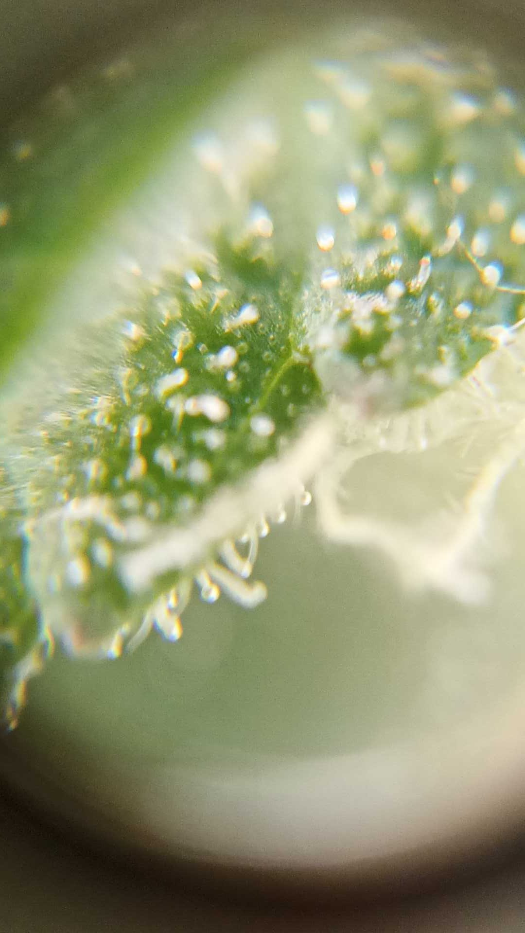 2023-4-27 20-39-37.jpg