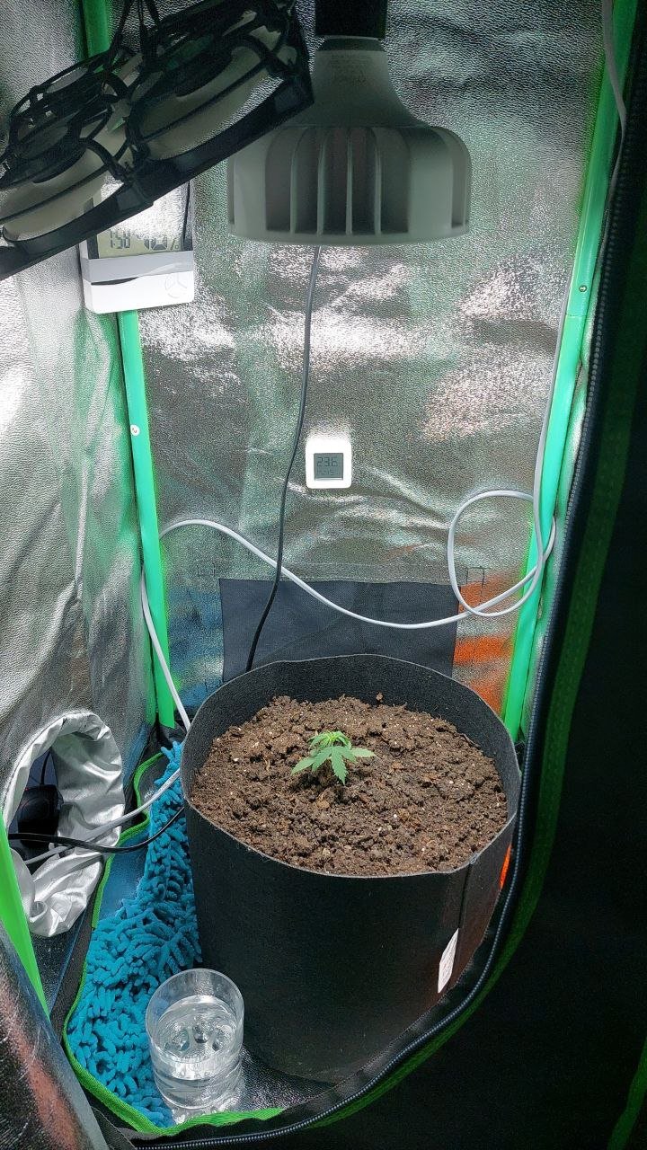 04.05.2023 день.jpg