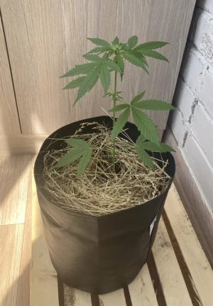 2023-06-07 09-53-17.jpg 2023-06-07 09-53-17.jpg