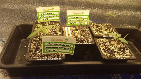 20230616_005243 .jpg