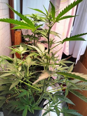 image-2023-07-01 12_40_13.jpg