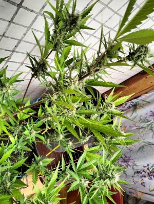 image-2023-07-21 13_18_08.jpg