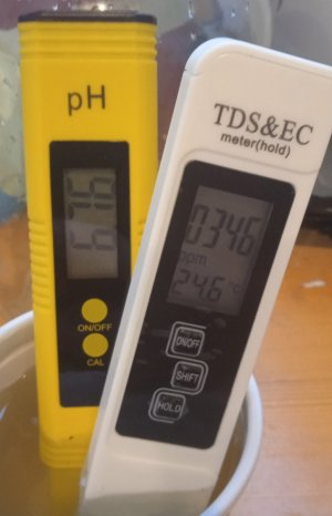 выход дренажа_45дн.jpg