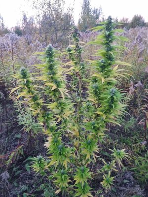 PHOTO-2023-09-30-08-40-48 (1).jpg