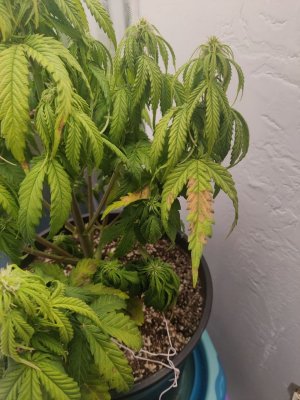 photo_2023-10-09_00-10-22 (2).jpg