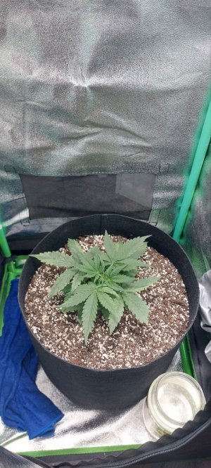 2023.10.24 - 20 день(3).jpg