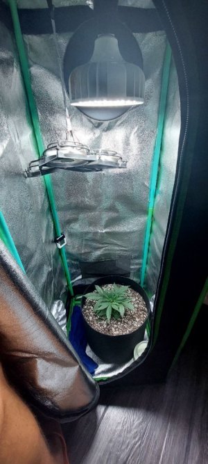 2023.10.24 - 20 день(1).jpg