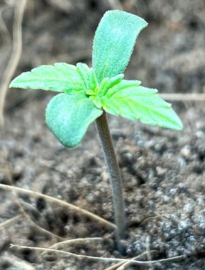 20220112_164119.jpg 20220112_164119.jpg