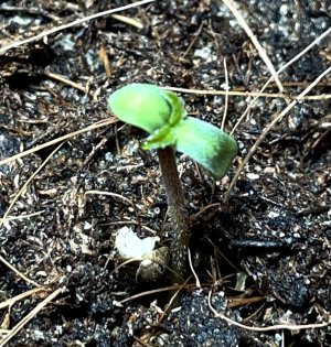 20220112_162928.jpg 20220112_162928.jpg