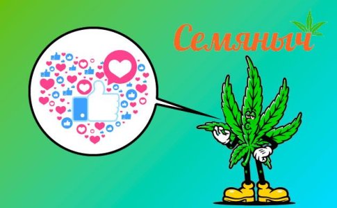 Отзыв Семяныч