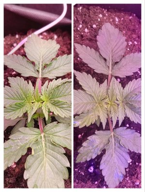 photo1705325252 (1).jpeg